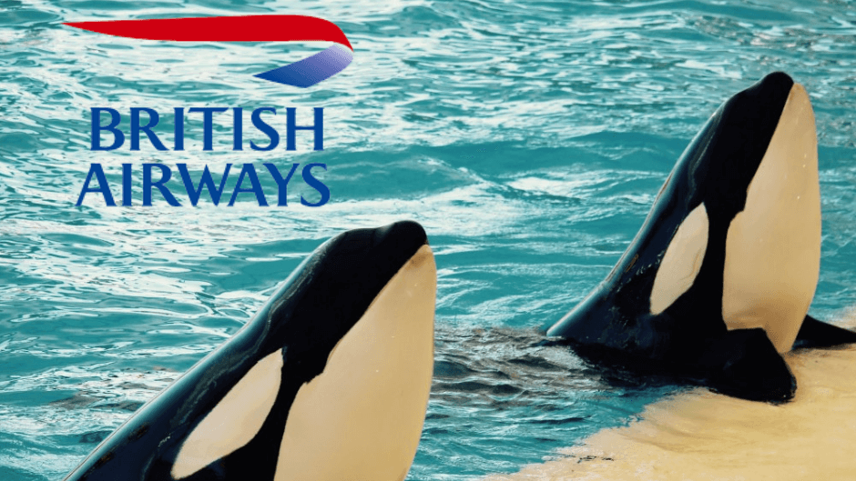 British Airways Is the Latest to Cut All Ties With SeaWorld