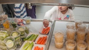 Iceland City Council Considers Cutting Meat from School Cafeterias