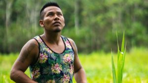 Peru Passes ‘Momentous’ Ban on Palm Oil Deforestation