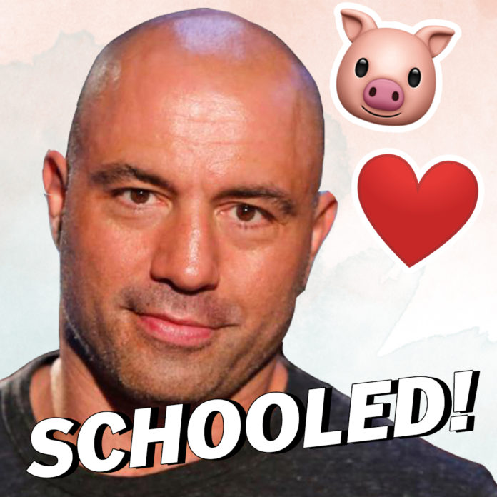 Joe Rogan Gets Schooled On Vegan Ethics