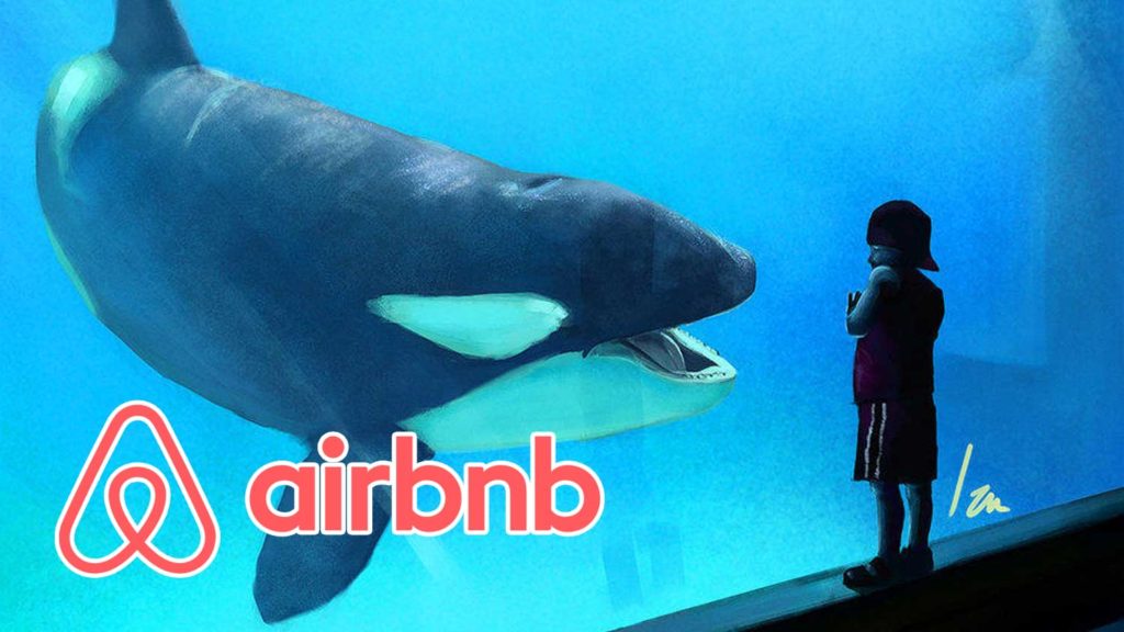 Airbnb Will No Longer Offer Experiences That Harm Animals