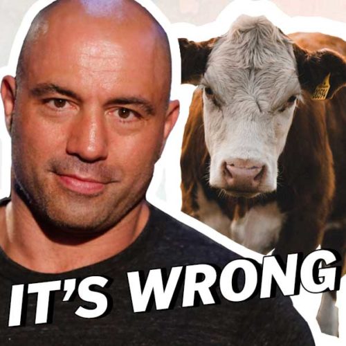 JOE ROGAN’S Vegan Epiphany?!