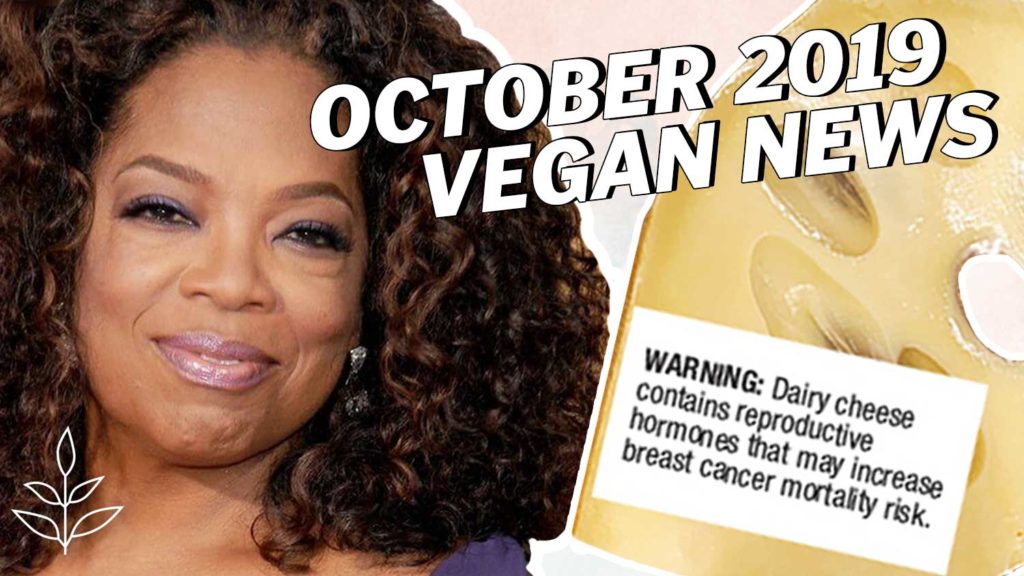 The Top 11 Plant-Based News Stories for October