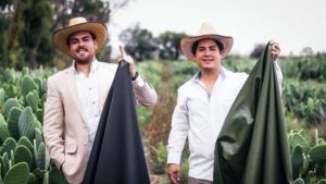 Two Mexican Entrepreneurs Just Created Leather Out of Cactus Leaves