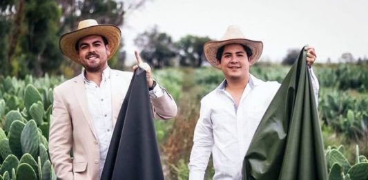 Two Mexican Entrepreneurs Just Created Leather Out of Cactus Leaves