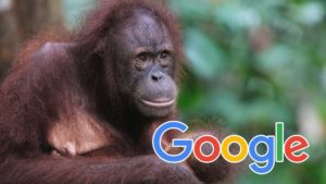 How Google’s AI Could Help Protect Endangered Species