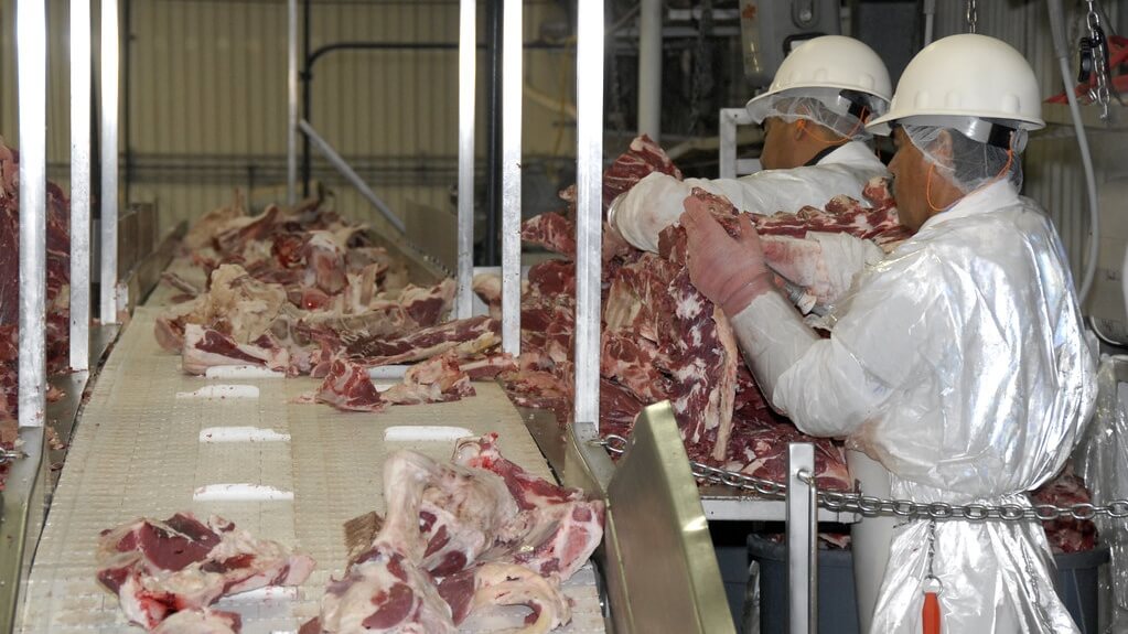 New USDA Rules Allow Slaughterhouses to 'Self Police'