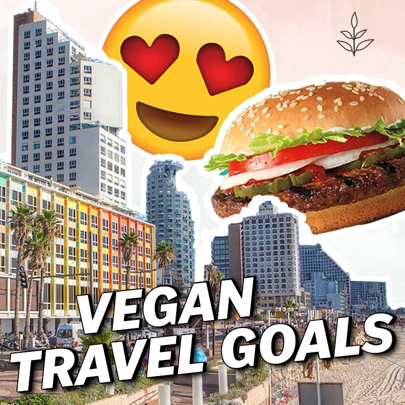 best places to visit vegan