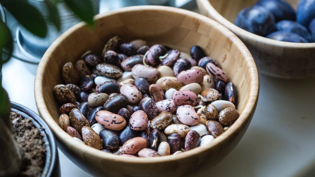 Eating Legumes on a Vegan Diet: Everything You Need to Know