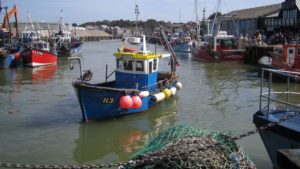 Sussex Makes History With First Fishing Ban for the Climate