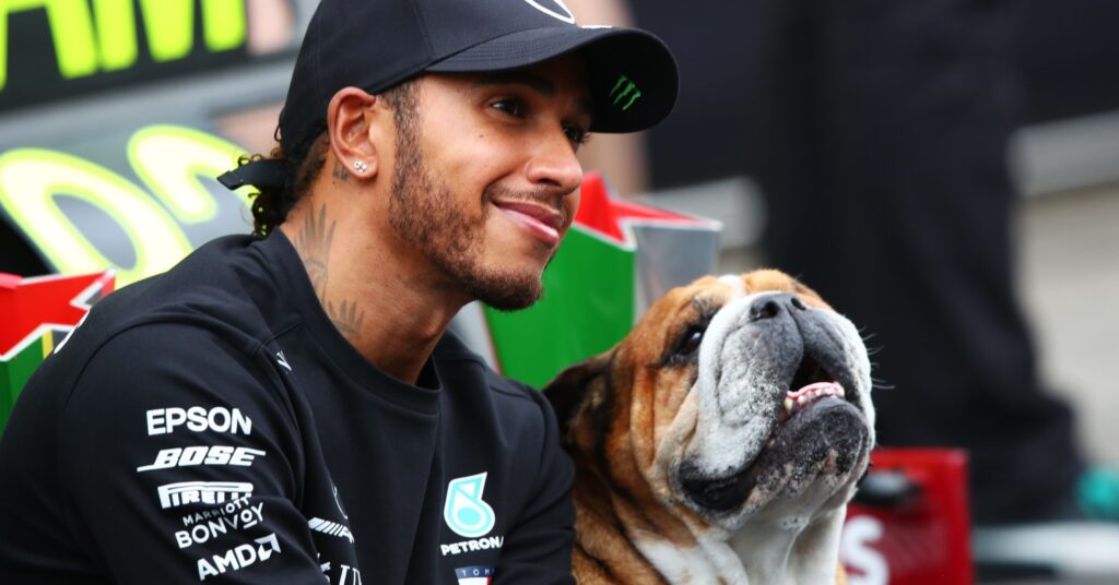 Lewis Hamilton Says Animal Cruelty 'Pains His Heart'