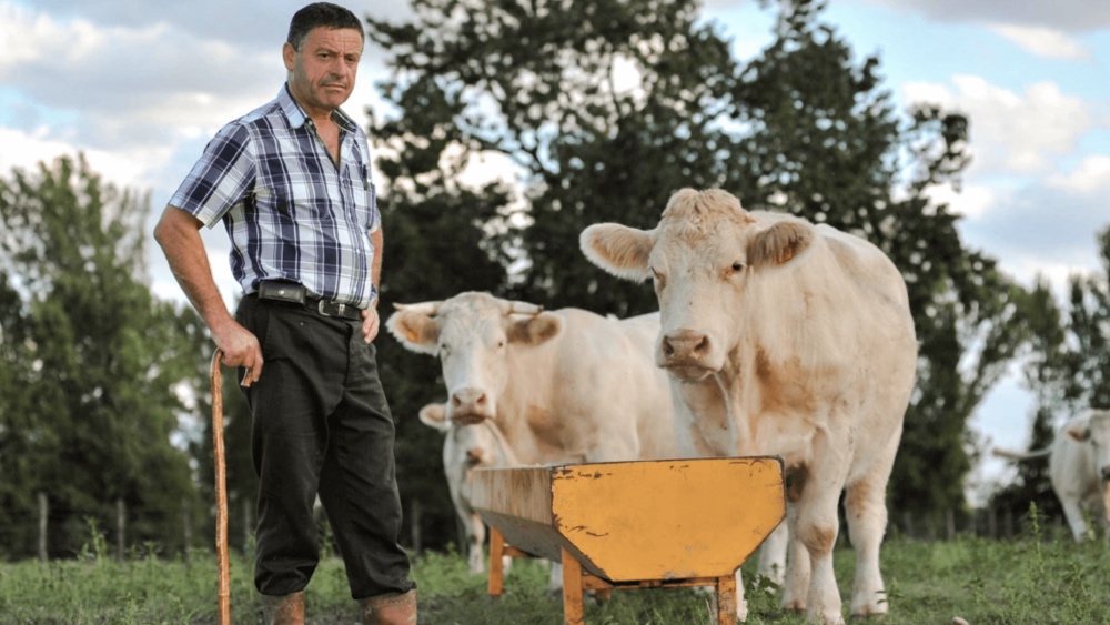 Ireland’s Beef Industry May Not Recover From Coronavirus