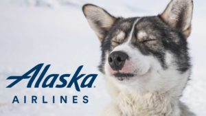 Alaska Airlines Ends 40-Year Sponsorship of the Iditarod
