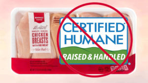 Australia Bans ‘Certified Humane’ Labels on Animal Products