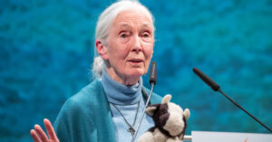 ‘Disrespect for Animals’ Caused Coronavirus, Says Jane Goodall