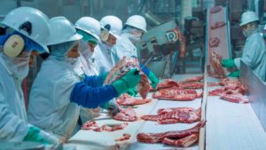 Hundreds of Slaughterhouse Workers Test Positive for Coronavirus