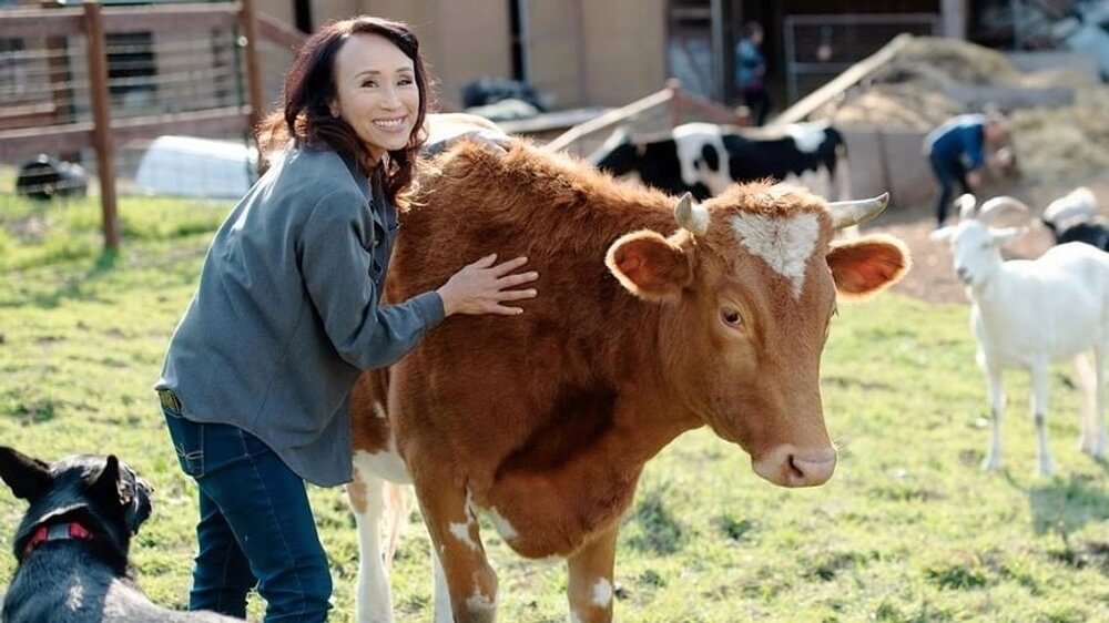 Why Struggling Dairy Farmers Are Transitioning to Vegan Milk Production
