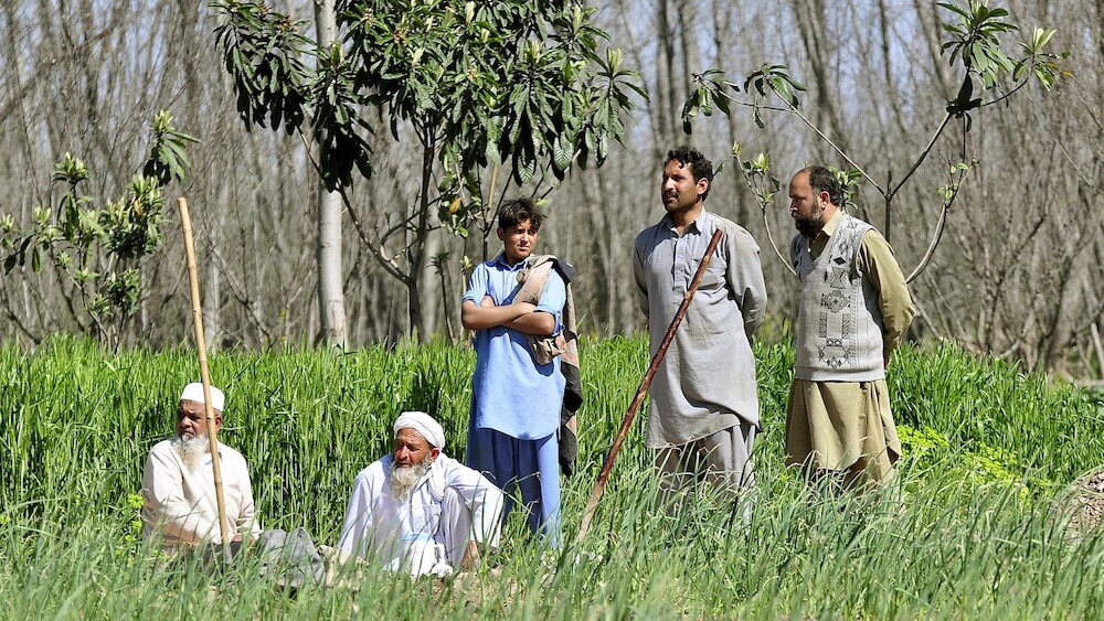 Pakistan Just Hired 63,000 People to Plant 10 Billion Trees