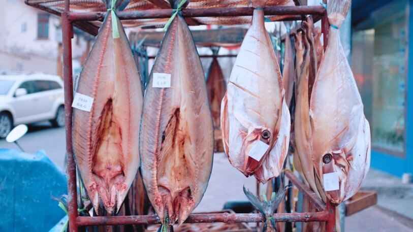 Fishing Industry to Lose Billions As COVID Drops Demand