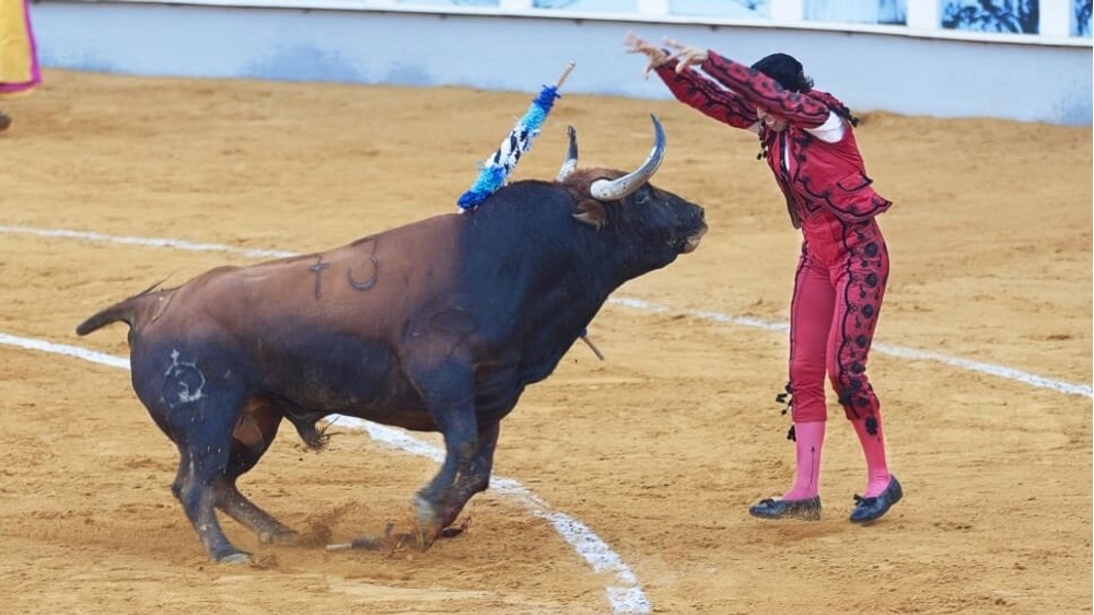 Bogota Moves to Ban Bullfighting In Colombia's Capital