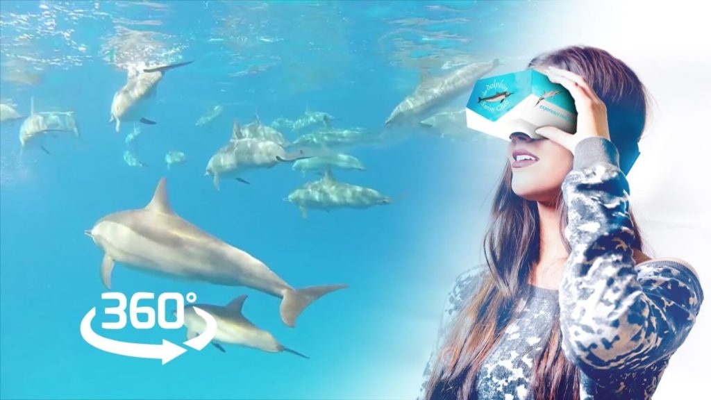 This New VR Experience Offers Cruelty-Free Swimming With Dolphins