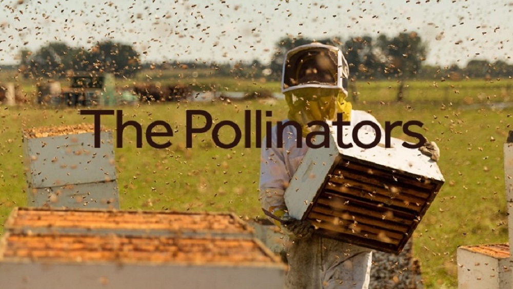 New Documentary ‘The Pollinators’ Follows Billions of Bees