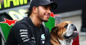 Lewis Hamilton Says His Dog Is Now a 'Super Happy' and Healthy Vegan