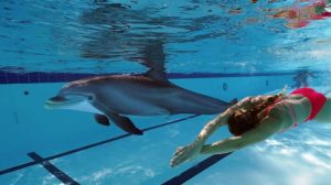 SeaWorld’s Captive Animals Could Be Replaced By Robotic Dolphins