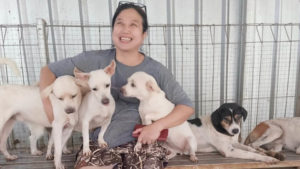 COVID Frontline Doctor Has Rescued 1,000 Abandoned Dogs