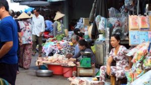 Vietnam Bans Wildlife Markets and Imports Because of COVID