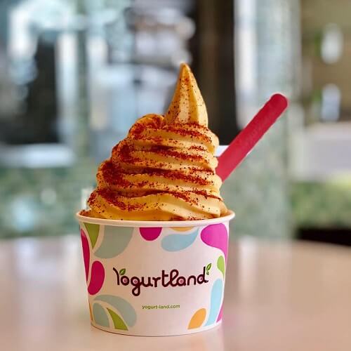 Here's the Complete Guide to Vegan Flavors at Yogurtland