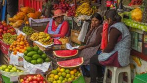 Shift to Vegan Food Would Create 19 Million Jobs in Latin America and Caribbean