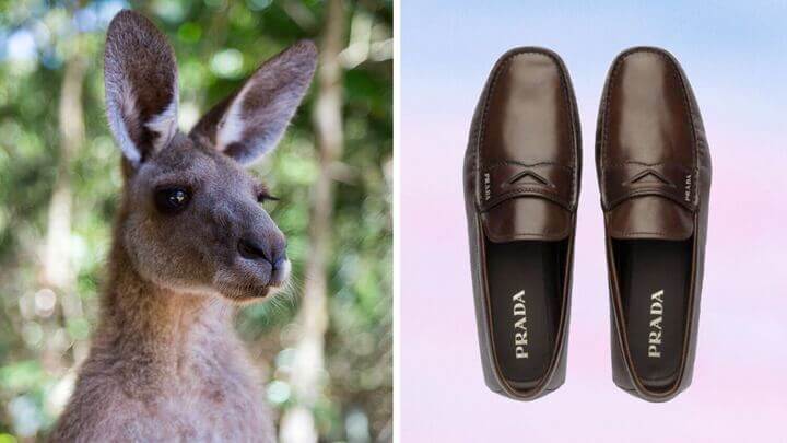 Prada Group bans kangaroo leather, Materials & Production News