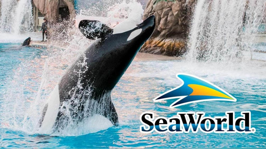 SeaWorld’s Revenue Has Dropped 95% From 2019