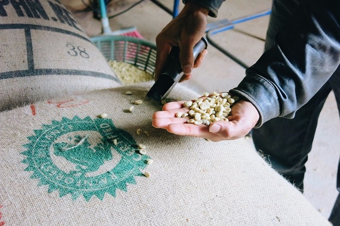 Everything You Need To Know About Sustainable Coffee