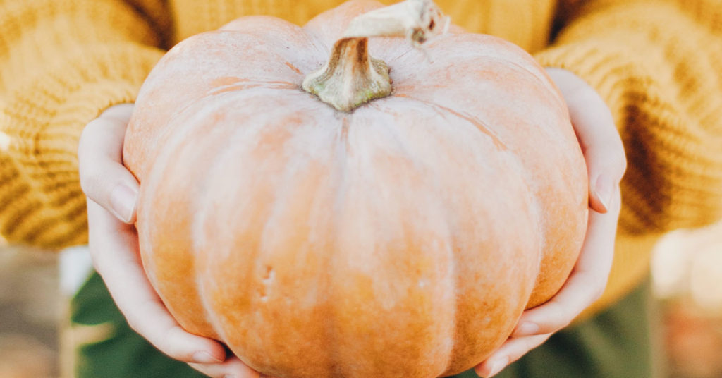 10 Things You Never Knew You Could Do With Pumpkin