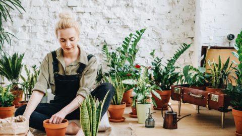 How Plants Can Improve Your Mental Health