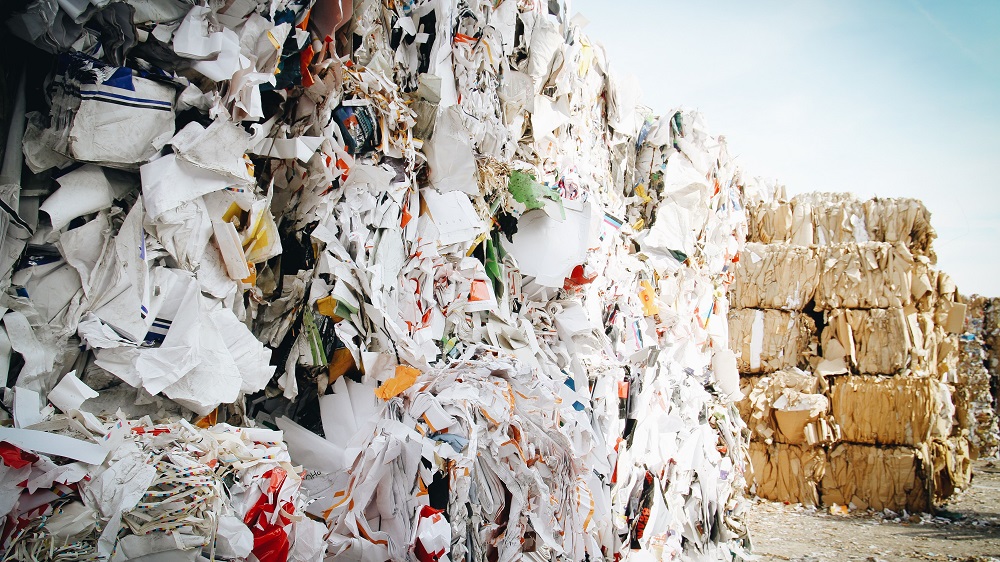 What Is Biodegradable Fashion?