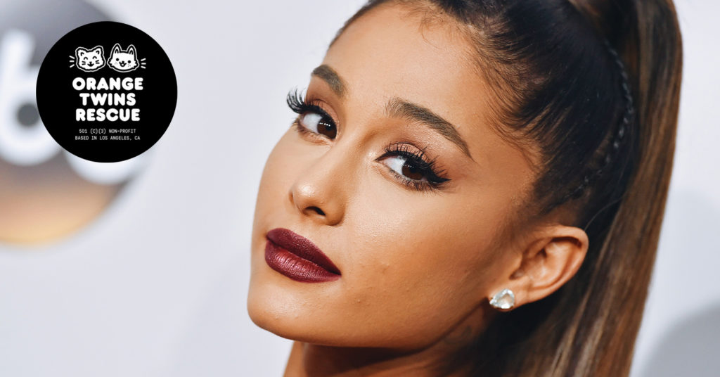 Ariana Grande Launches an Animal Rescue in L.A.