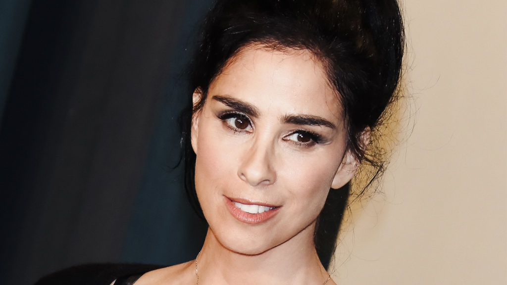 Sarah Silverman's Vegan Pledge: 'I Don't Have an Excuse' to Not Try
