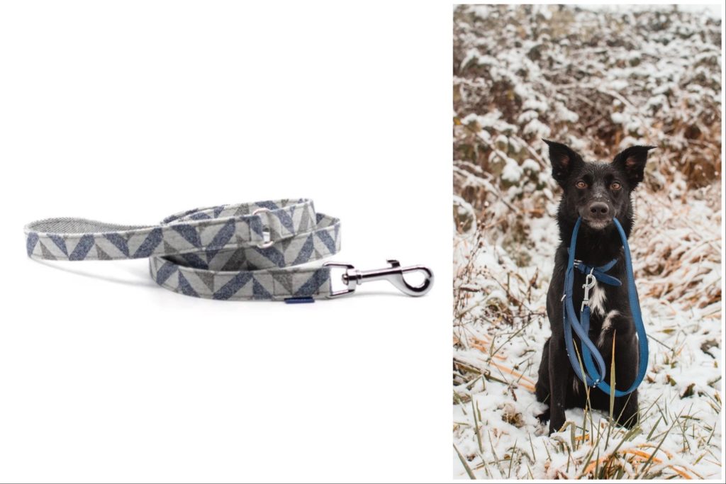 Buy your pup one of these sustainable leashes. | Project Blu