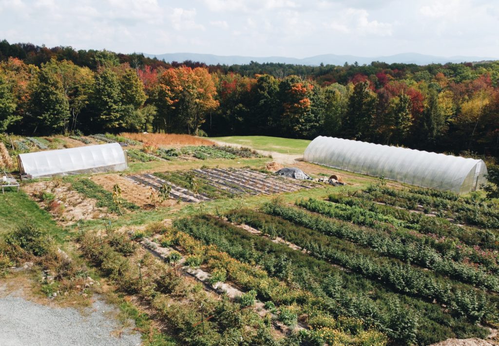 Biden’s Support for Black Farmers Could Tackle Both Climate Change and Land Equity