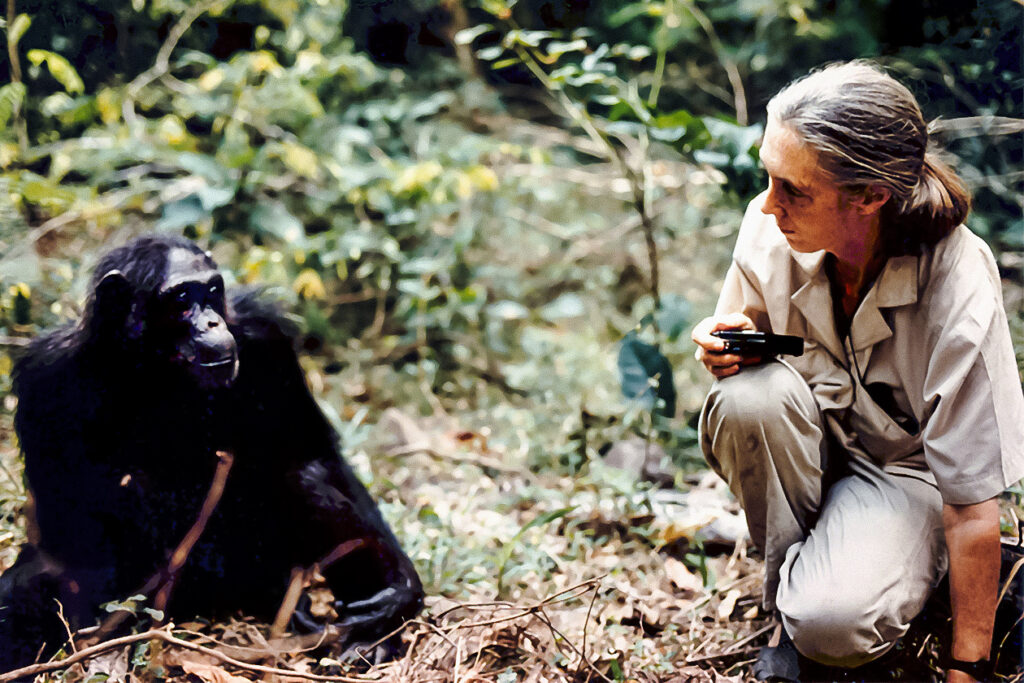 Why Were Still Fawning Over Jane Goodall After 60 Years