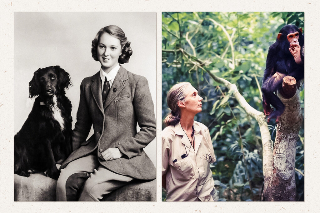 Why We're Still Fawning Over Jane Goodall After 60 Years