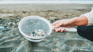 What Are Microplastics and How Did They Get Into Our Food?