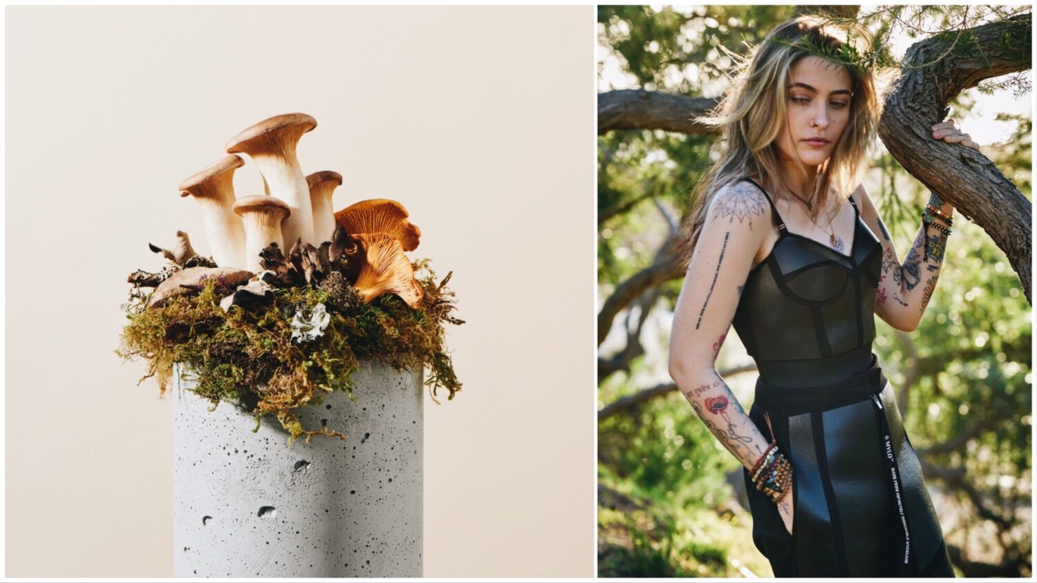 The Rise of Mylo: Sustainable Luxury with Mushroom Leather