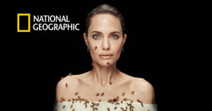 Why Angelina Jolie Is Betting on Women to Save the Bees