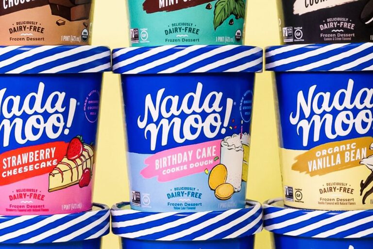 Our Guide to the Best Vegan Ice Cream. You're