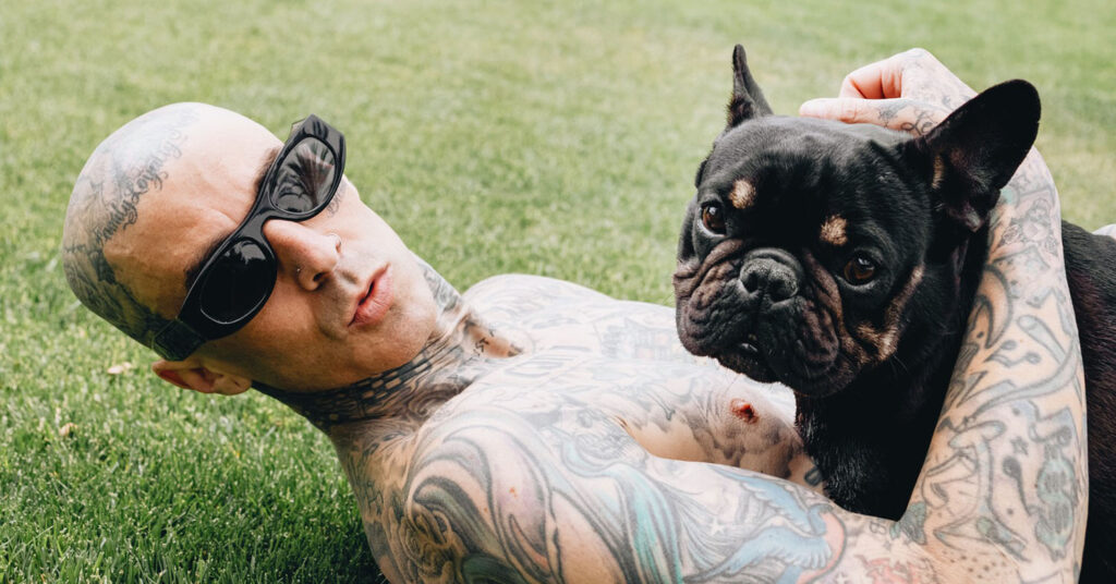 Travis Barker's CBD Brand Offers Vegan Options for Anxious Pets