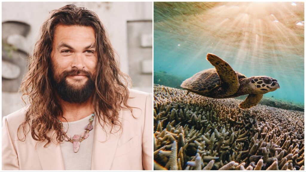 Split image featuring environmentalist and actor Jason Momoa (left) and a sea turtle swimming above coral (right).